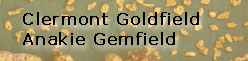 The Clermont Goldfield / The Anakie Gemfield